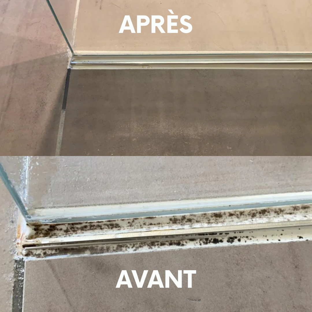 Coffret découverte anti-moisissure kymä